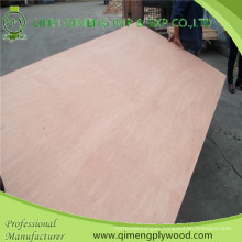 High Quality Poplar or Hardwood Core 4′x8′ 15mm Bintangor Plywood